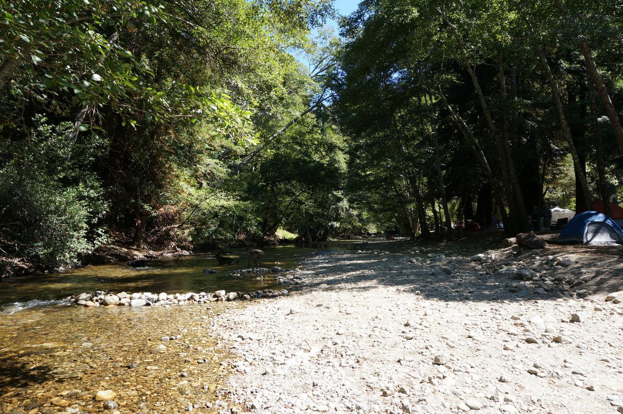 Riverside Campground & Cabins Big Sur Zewnętrze zdjęcie
