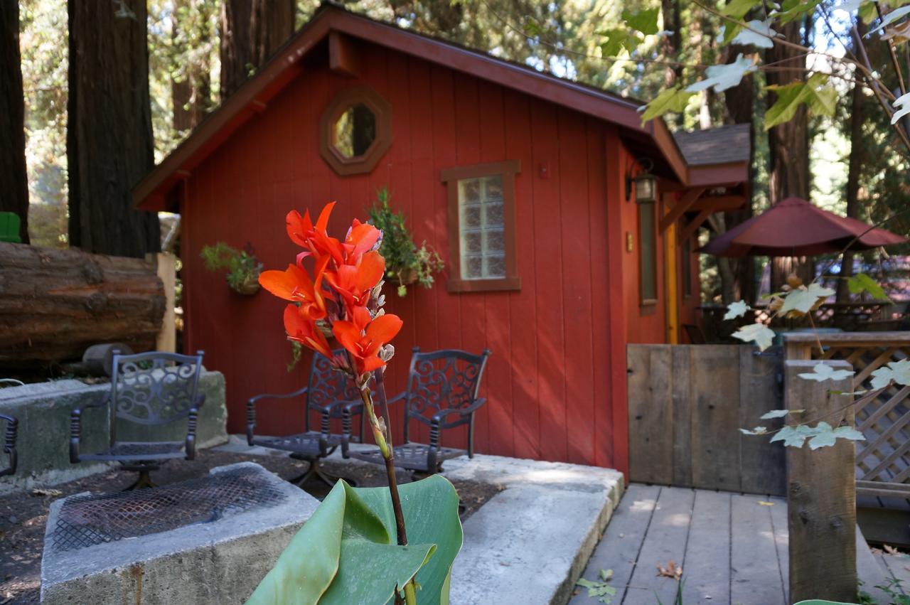 Riverside Campground & Cabins Big Sur Zewnętrze zdjęcie